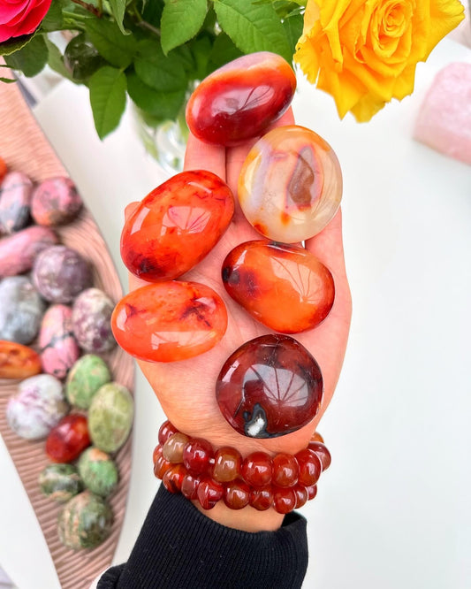 Beautiful Juicy Carnelian Pebbles 🧡🍊