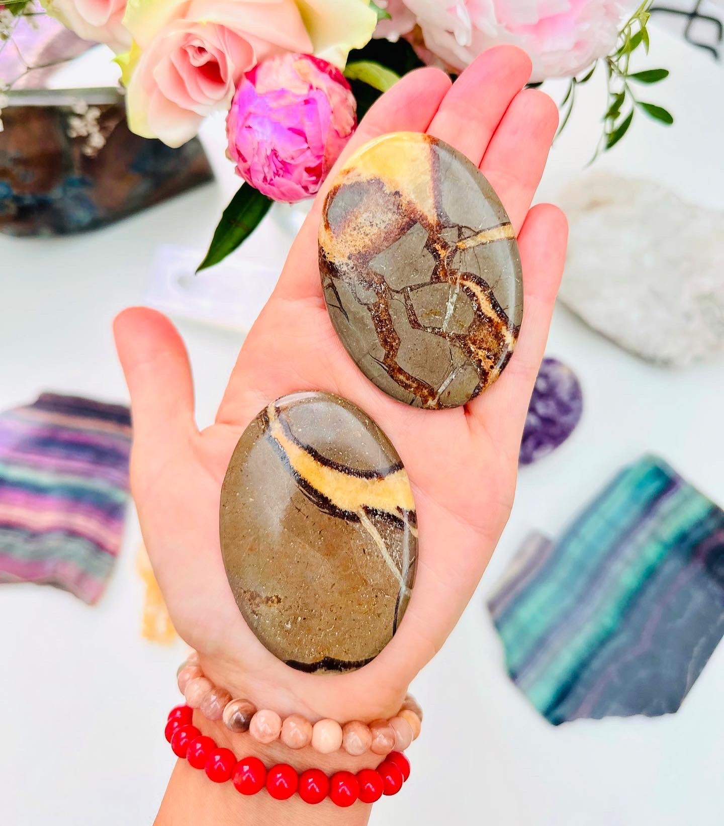 Septarian Palm Stones ðēð