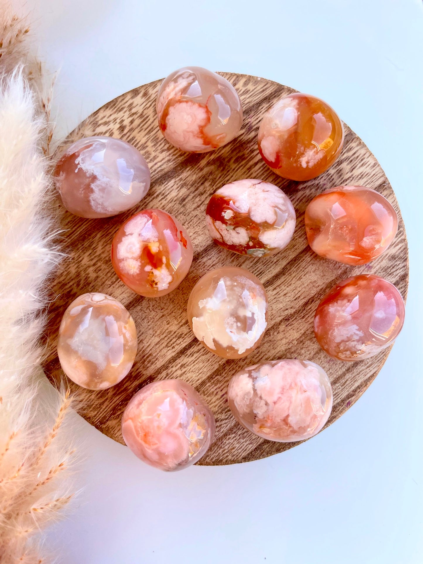Flower Agate Juicy Crystals ๐ธ๐บ๐ผ๐ป๐ฎ
