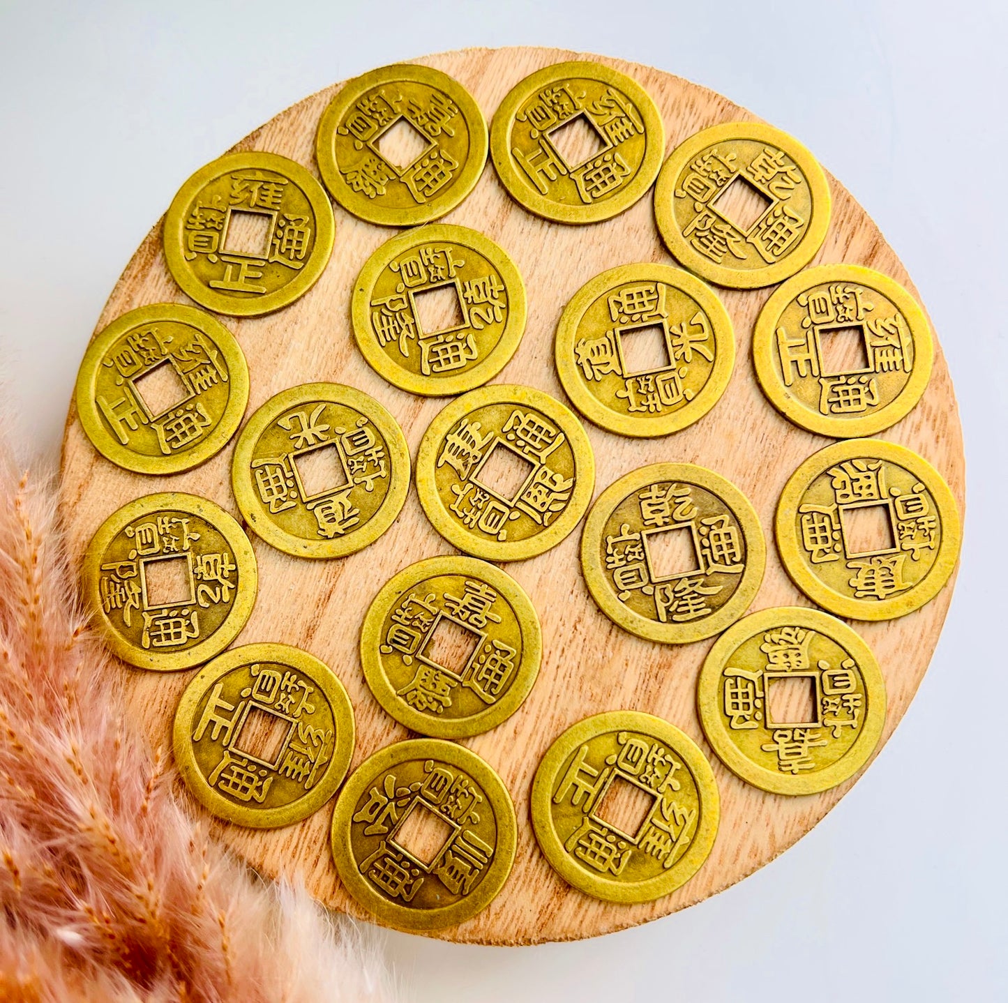 Lucky Blessings Coin ๐ธ๐ฐ๐