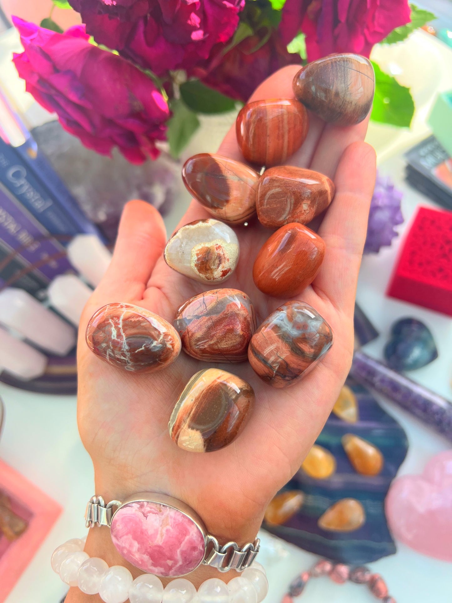 Petrified Wood Jasper Crystals