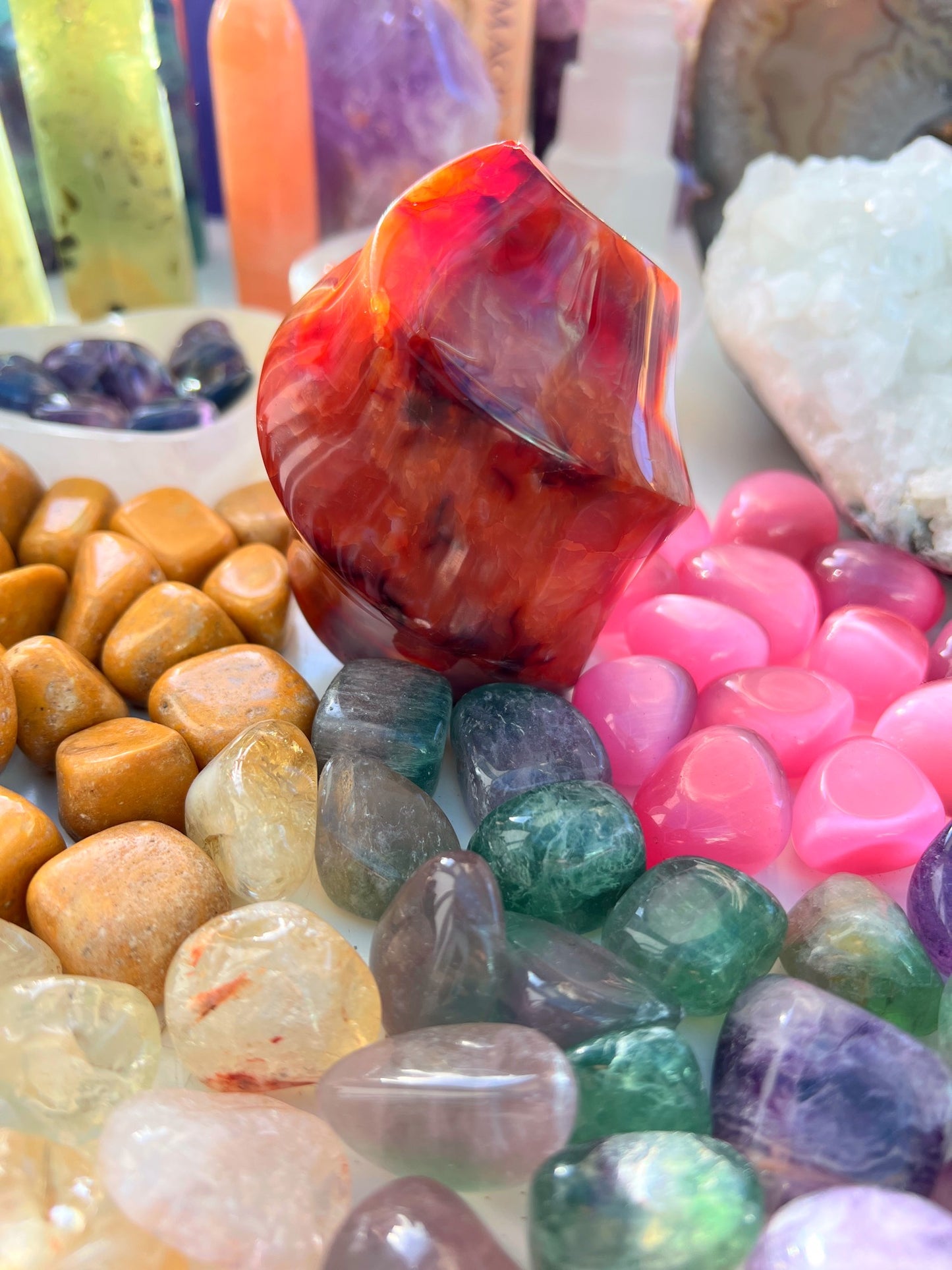 Desert Rose 🌹🏜