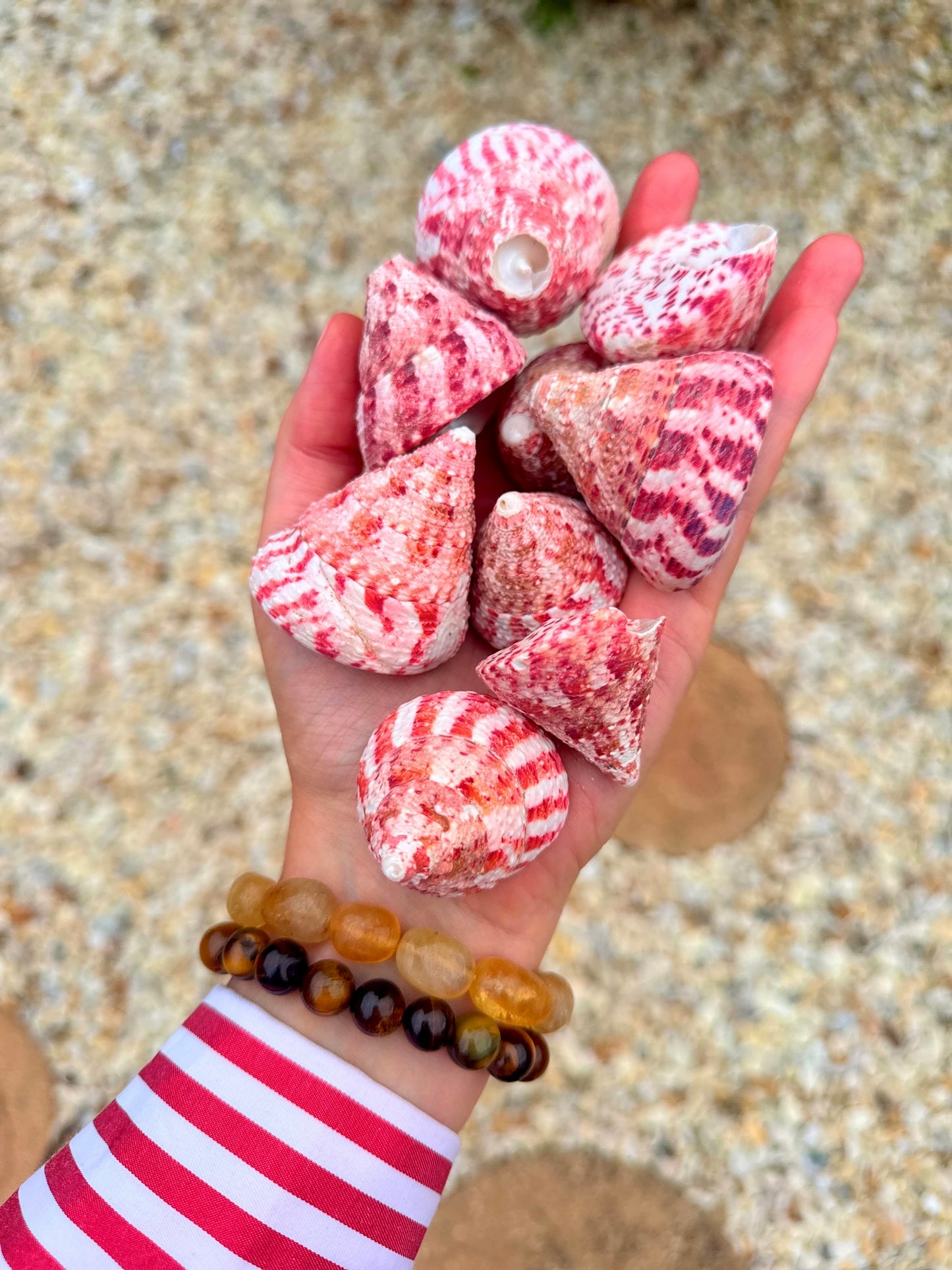 Strawberry Top Shells 🍓🐚