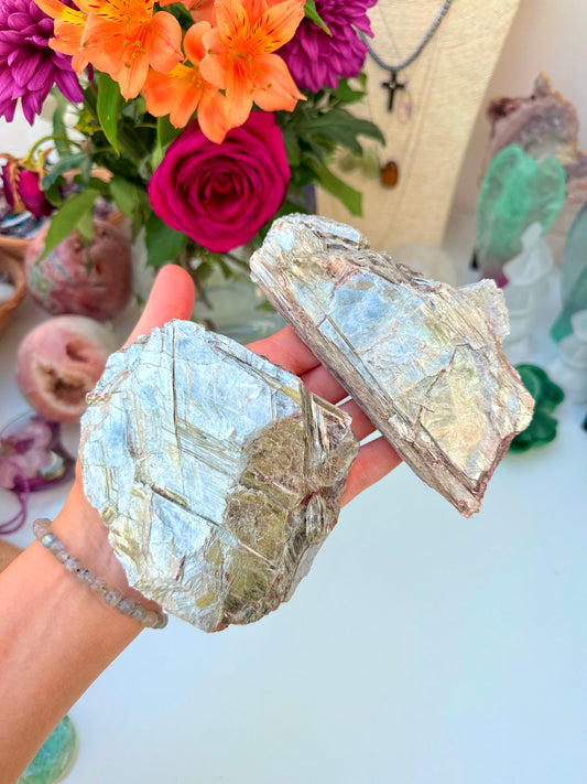 Golden Mica Specimens