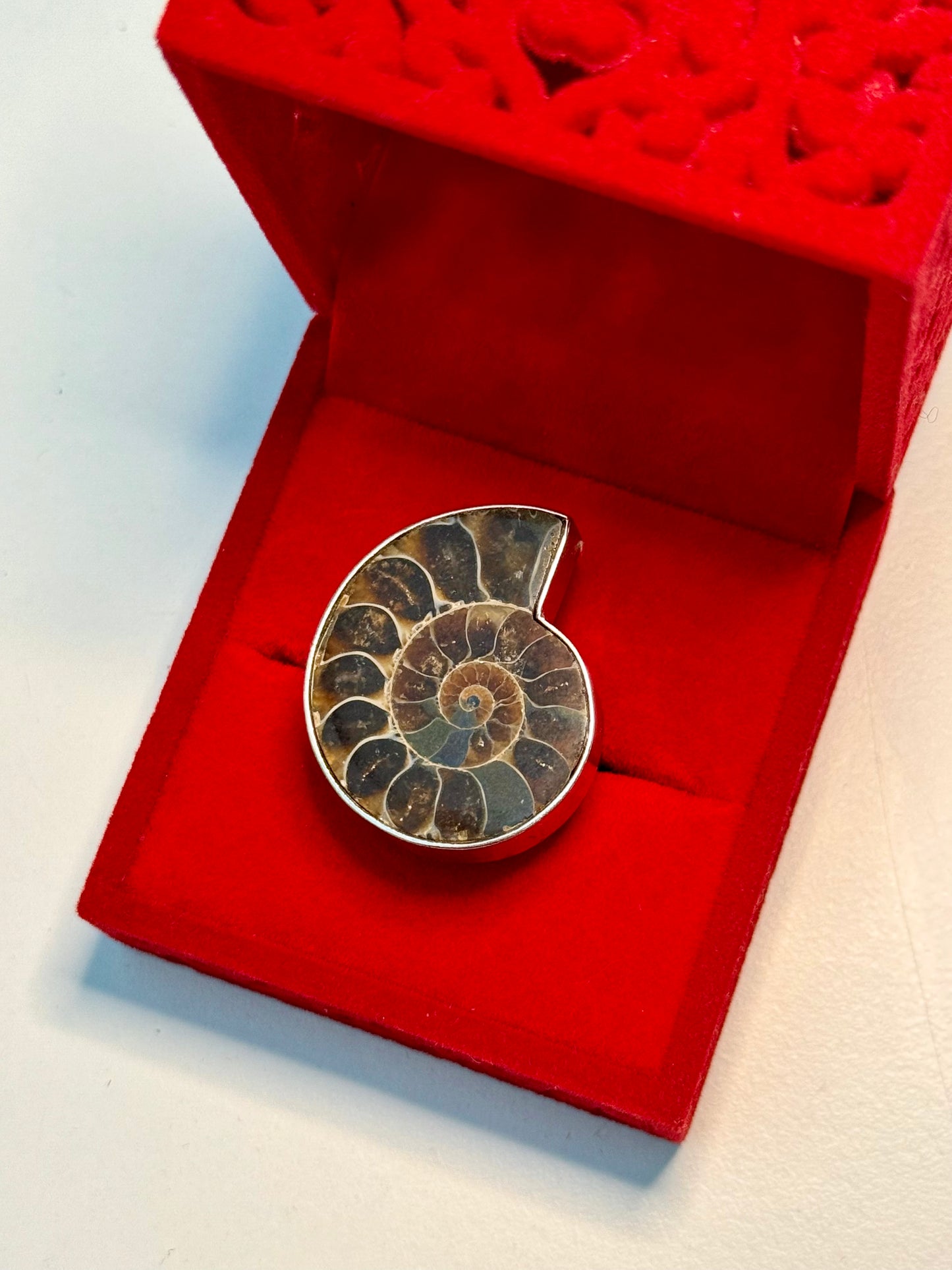 Ammonite 🐌 | Adjustable Ring 💍