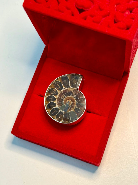 Ammonite 🐌 | Adjustable Ring 💍