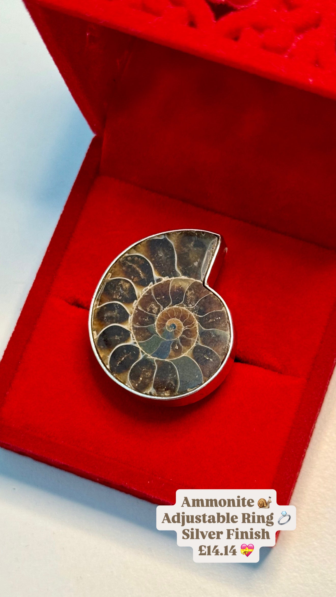 Ammonite 🐌 | Adjustable Ring 💍