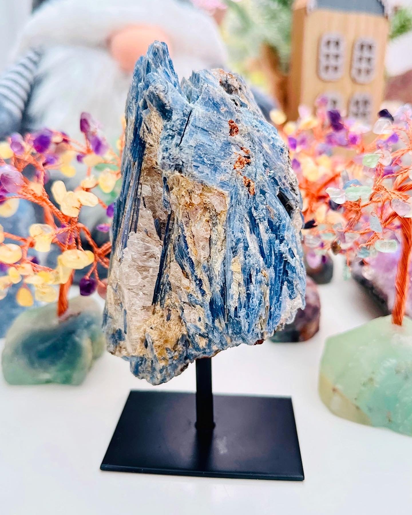 Natural Raw Kyanite with Golden Mica inclusions 💎✨💎✨