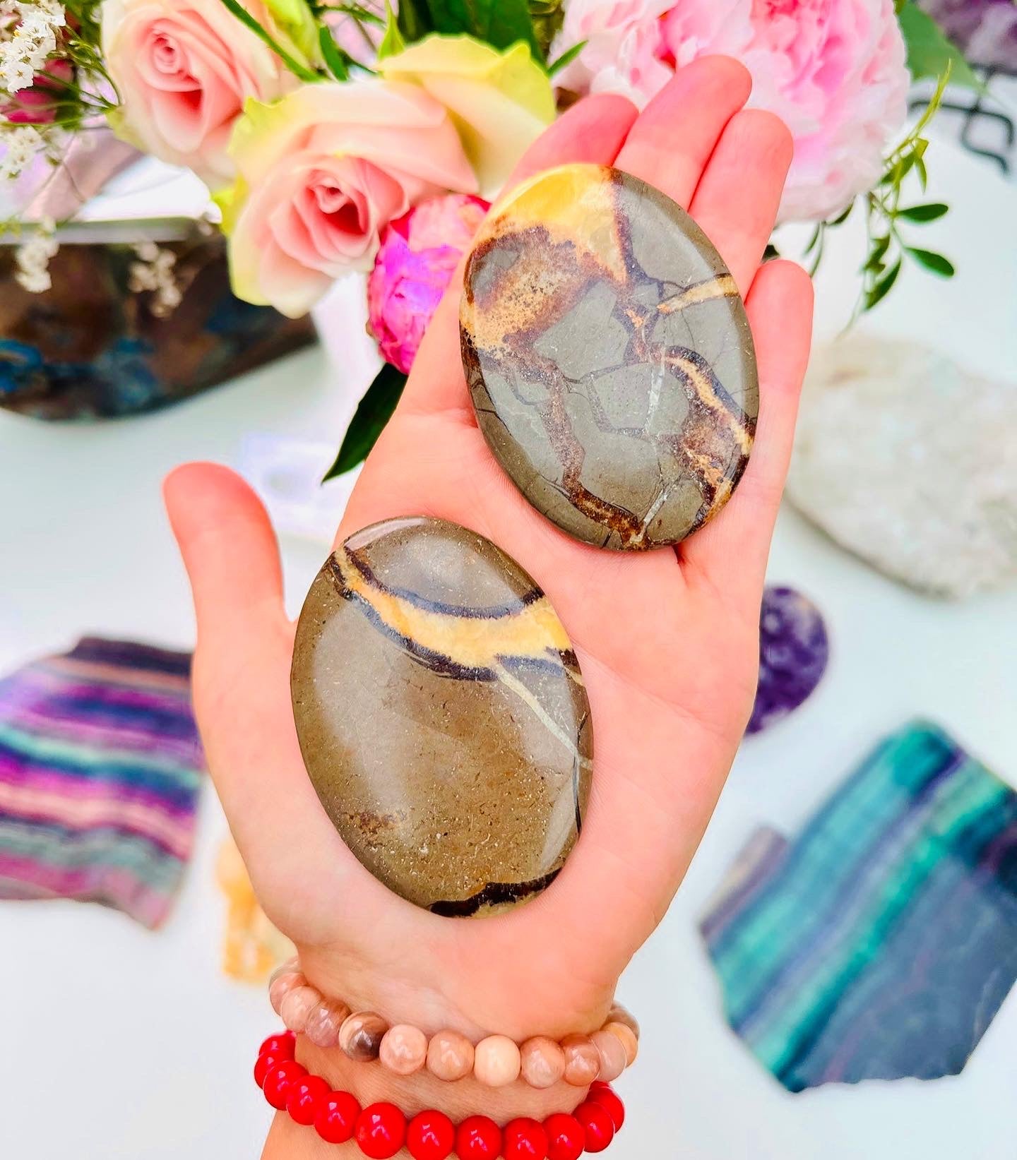 Septarian Palm Stones 🐲🐉
