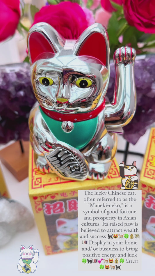 Lucky Chinese Cat 🐈‍⬛🍀💕😻🐈🧧