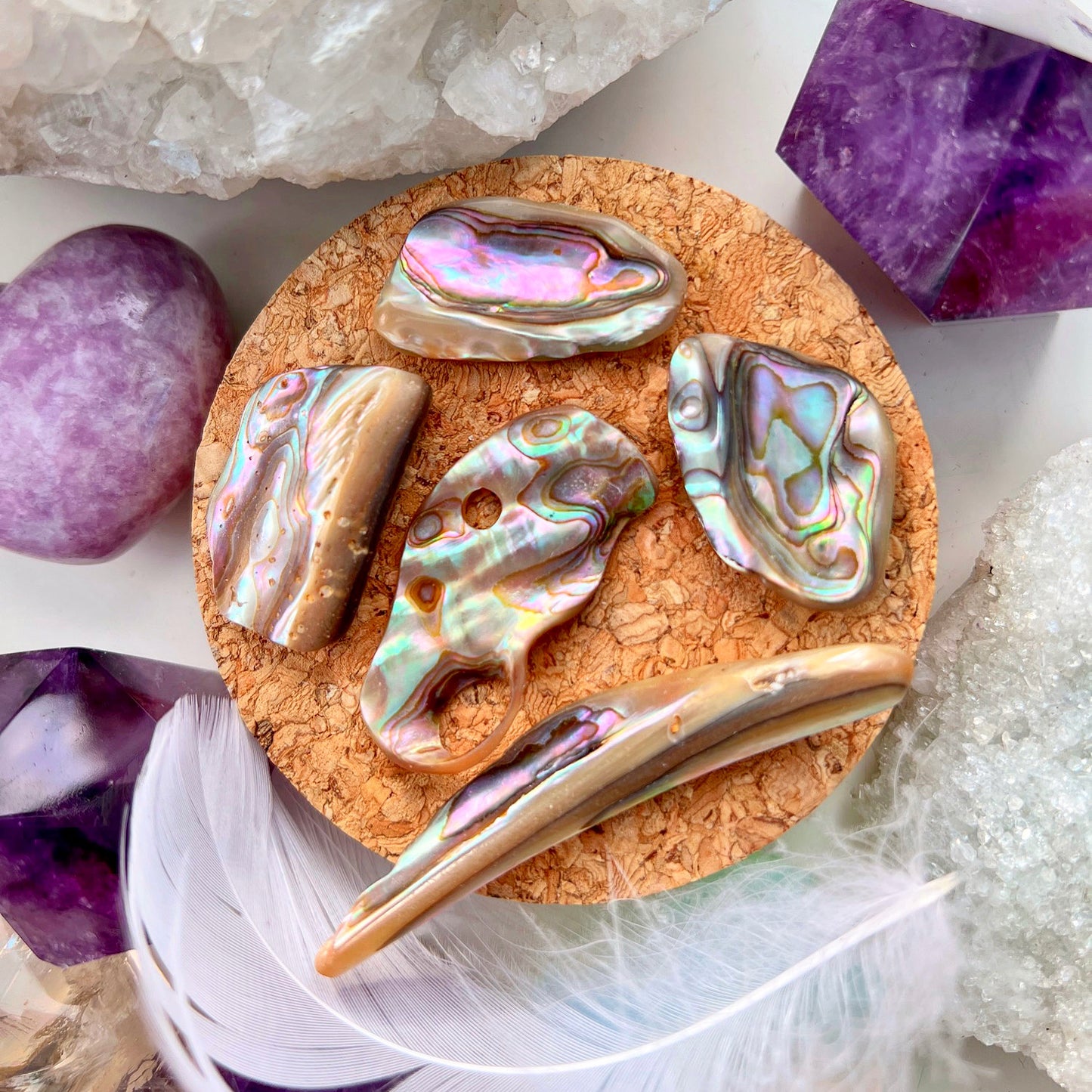 Abalone Shells Crystals