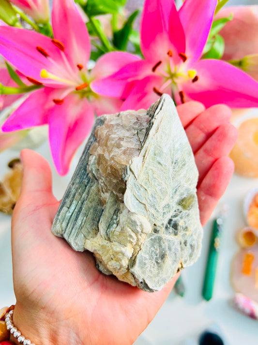 Golden Mica Specimens