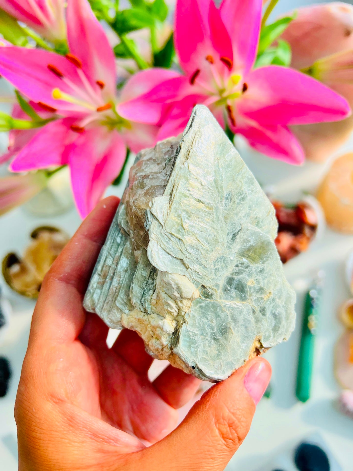 Golden Mica Specimens